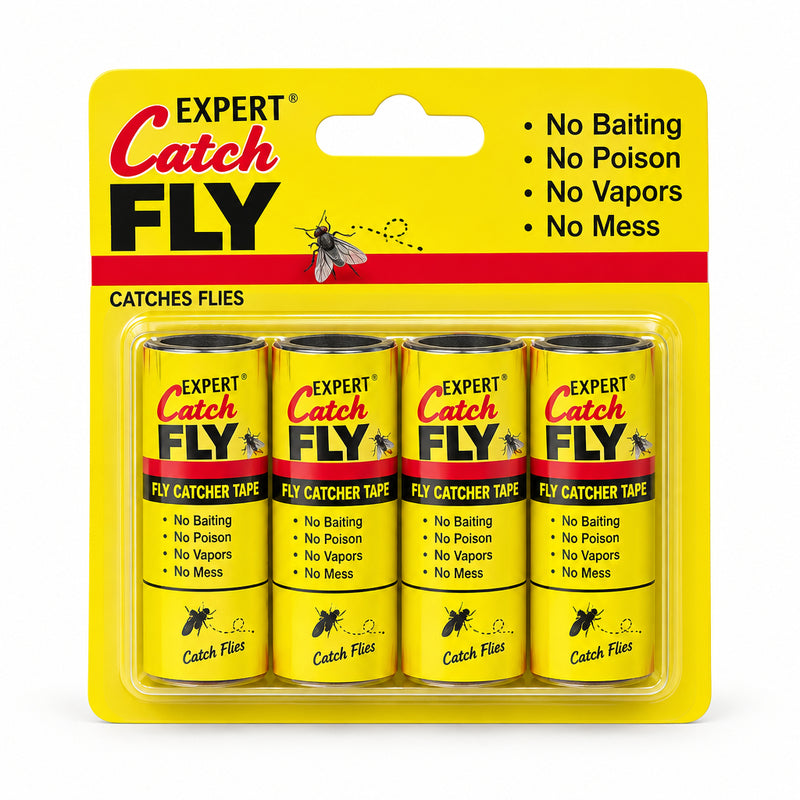 Expert Catch Fly Murukali.com
