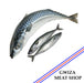 Fish Tilapia murukali.com