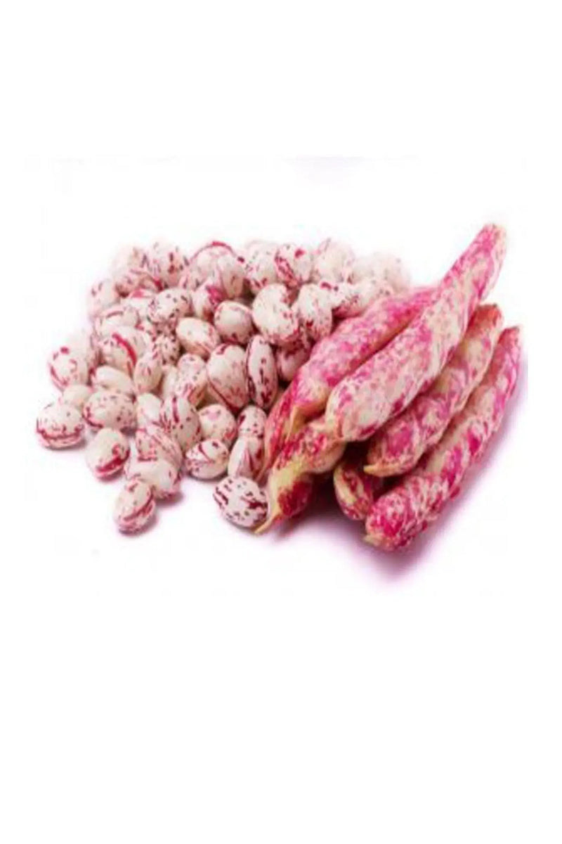 French Beans-Ibitonore murukali.com