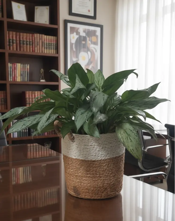 Fresh Flower Potted Plant in a Basket Vase Murukali.com