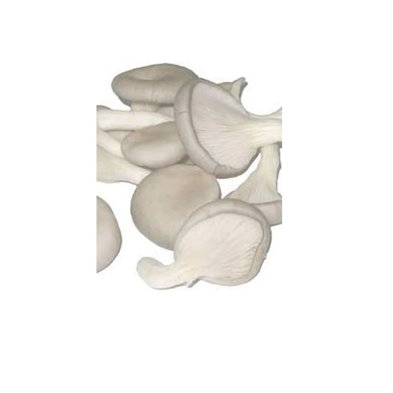Fresh Mushroom murukali.com