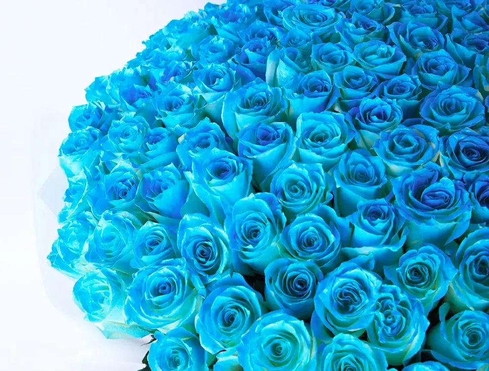 Fresh Rose Flower Boucket Sprayed Blue Color