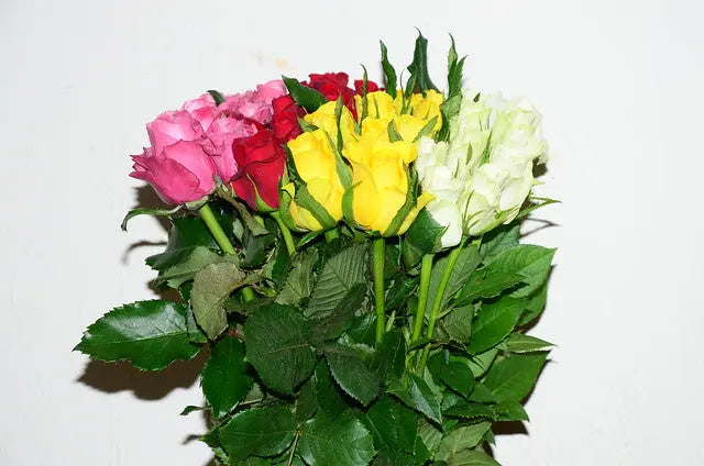 Fresh Rose Flowers Unwrapped 20pcs/Bunch murukali.com