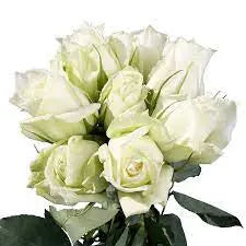 Fresh Rose Flowers Unwrapped 20pcs/Bunch/umufungo w'indabo