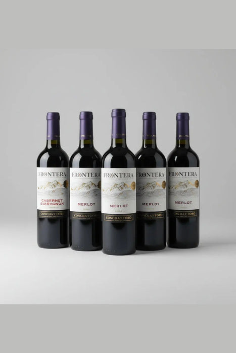 Frontera Merlot Red Wine – Concha y Toro 750ml