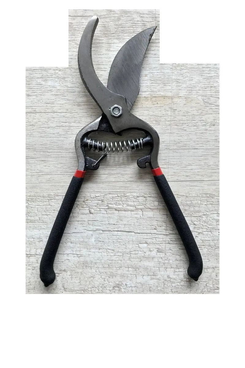Garden Secateurs Scissor Shears Grafting Tool,Fruit Tree.. murukali.com