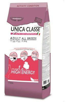 Gheda Unica Classe High Energy Dry Dog Food for All Breeds with Beef 12kg Add to comparison Gheda Unica Classe High Energy Dry Dog Food for All Breeds with Beef 12kg murukali.com