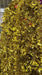 Gold Metallic Christmas Tinsel Garland Decoration 1pc Murukali.com