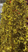Gold Metallic Christmas Tinsel Garland Decoration 1pc Murukali.com