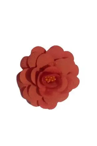 Hair Clips for Girls and Women Ph A Surrised Freebieack Of 2 Wit Tic Tac Clip murukali.com