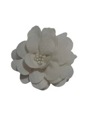 Hair Clips for Girls and Women Ph A Surrised Freebieack Of 2 Wit Tic Tac Clip murukali.com