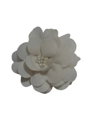 Hair Clips for Girls and Women Ph A Surrised Freebieack Of 2 Wit Tic Tac Clip murukali.com