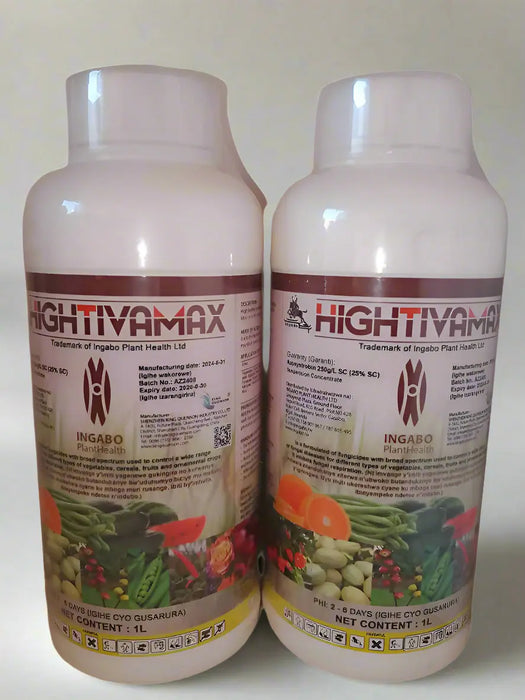 WhatsApp Image 2025-06-09 at 17.26.00_a9237260