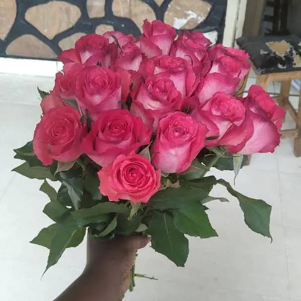 Hot Pink Nicolatta Fresh Rose Flower Bunch- Umufungo W'amaroza Murukali.com