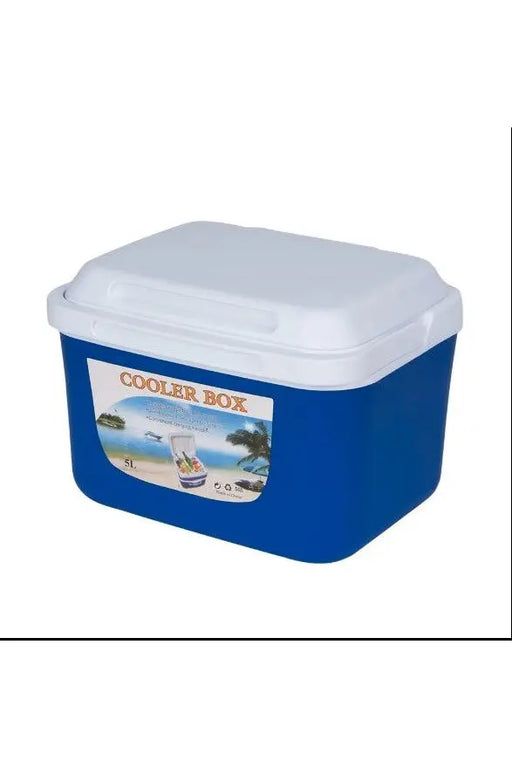 Insulated Cooler Box, Portable Ice Box for Food and Drinks Murukali.com