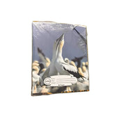 Jambo 96-page Notebook Murukali.com