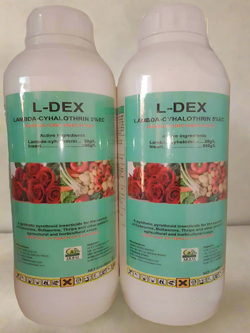 WhatsApp Image 2025-06-09 at 17.15.04_c2cd8d4c