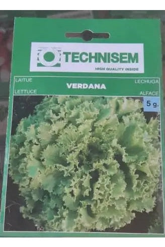 LETTUCE SEEDS 5g/umurama wa reti murukali.com