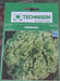 LETTUCE SEEDS 5g/umurama wa reti murukali.com