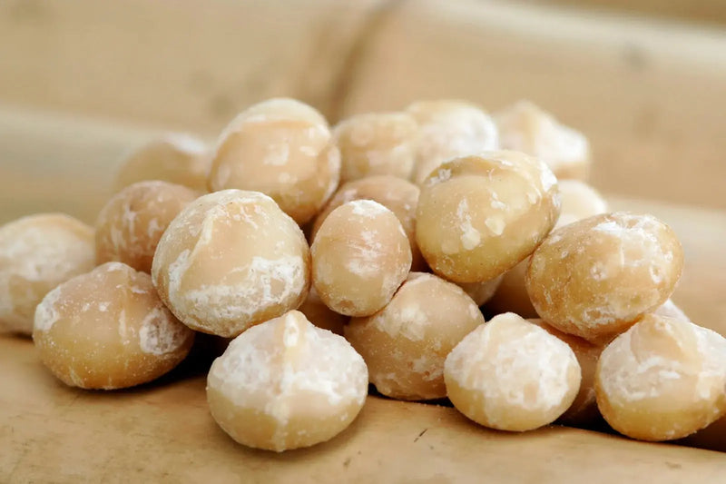 Macadamia Nuts  Premium & Crunchy Murukali.com