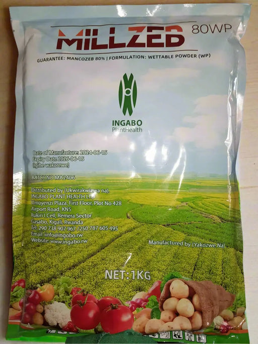 WhatsApp Image 2025-06-09 at 17.55.44_dc4d6727