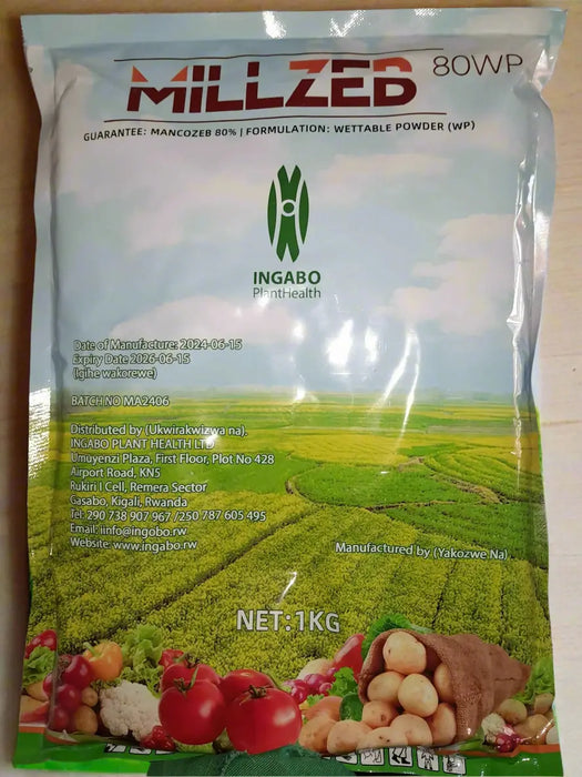 WhatsApp Image 2025-06-09 at 17.55.44_dc4d6727