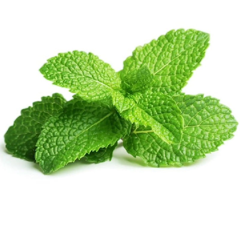 Mint /bunch murukali.com