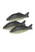 Muhazi Small Fish /Kg murukali.com