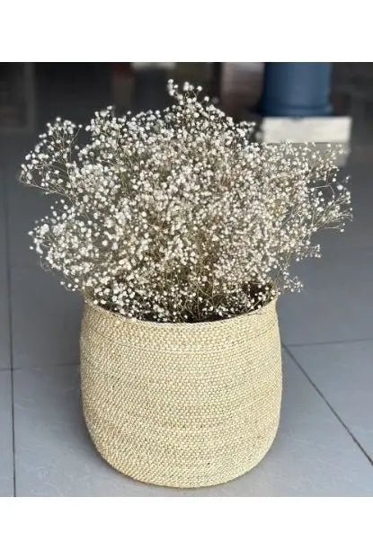 Natural Gypsophila & Craft Basket murukali.com