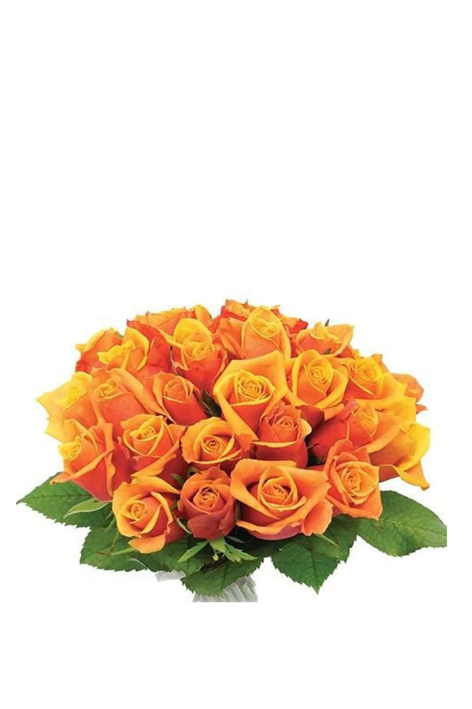 One Color Rose Flowers with Greens Boucket 40pcs