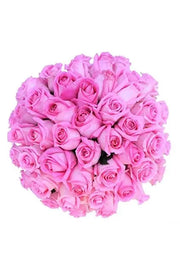 One Color Rose Flowers with Greens Boucket 60pcs murukali.com