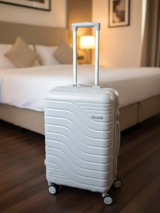Ostrich Silver Wave Hard-Shell Trolley Luggage Bag Large size Murukali.com