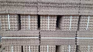 Paper Egg Trays murukali.com