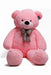 Pink Teddy Bear murukali.com