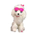 Plush Poodle Toy with Pink Sunglasses Murukali.com