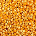 Popcorn Seeds/Kg murukali.com