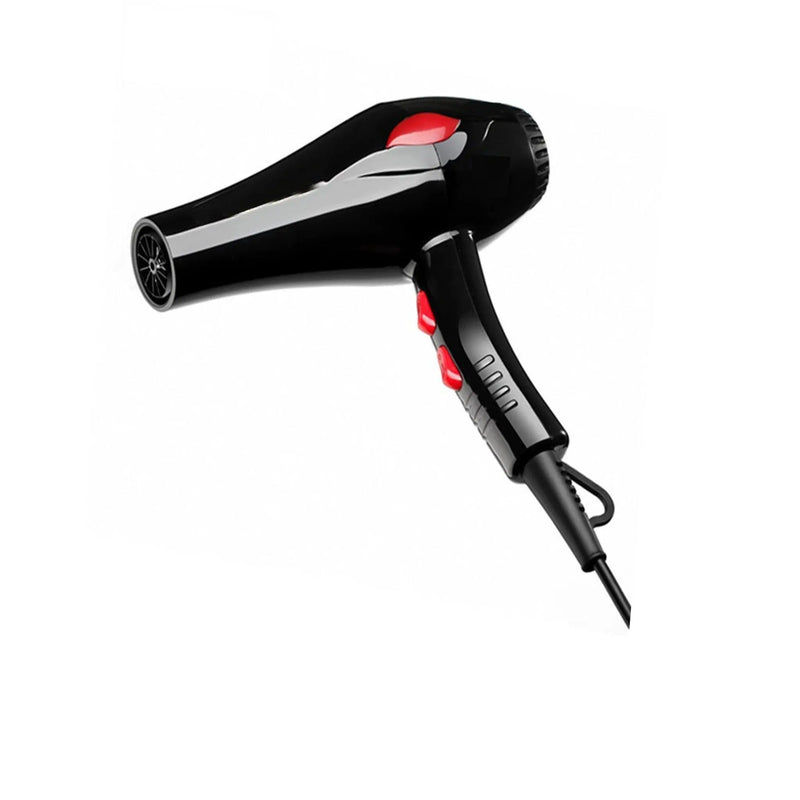 Professional Hair Dryer murukali.com