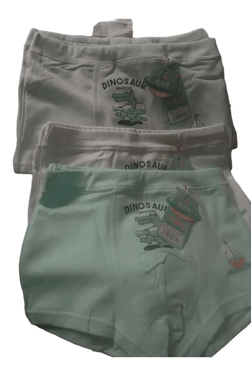Pure Cotton Boxer Underwear for Boys <13years /6pcs Veda Supply
