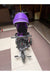 Purple Canopy Tricycle with Parent Handle Murukali.com