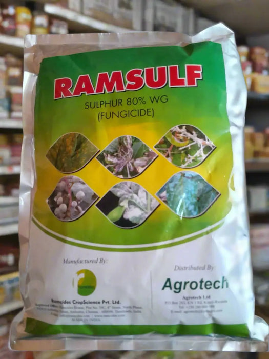 WhatsApp Image 2025-06-09 at 17.55.08_19923329