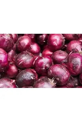 red onion1