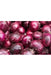 red onion1