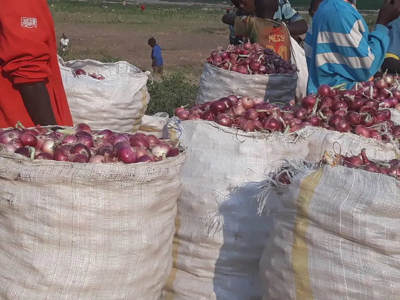 Red onion 50kg - 100kg Herbal Field Group Ltd