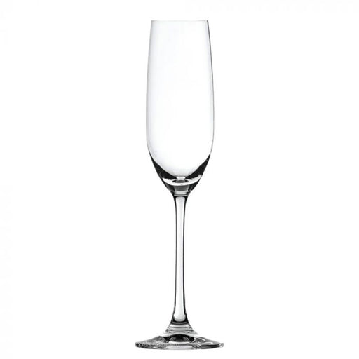 Salute Champagne Glasses /6pcs murukali.com
