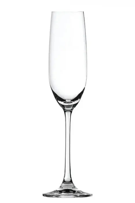 Salute Champagne Glasses /6pcs murukali.com