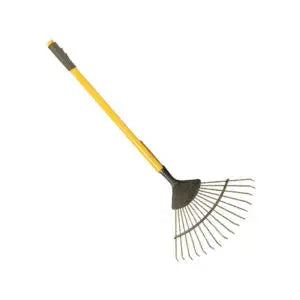 Small Leaf Rank murukali.com