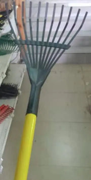 Small Leaf Rank murukali.com