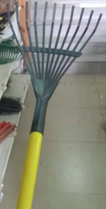 Small Leaf Rank murukali.com