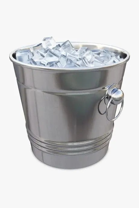 Stainless Steel Ice Bucket murukali.com