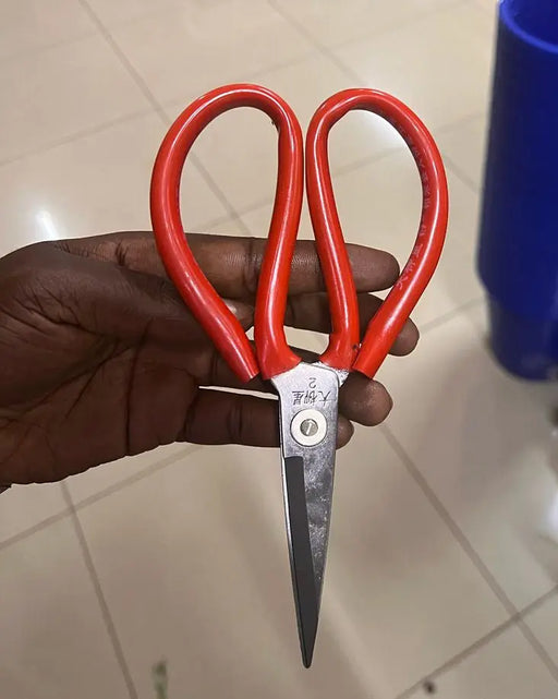 Standard Scissors with Red Handles, 8-Inch Murukali.com
